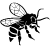 Icône abeille thomas de gaudemar apiculteur apiculture miel miellerie fleur chataigne chataigner chataigneraie ronce Ardèche abeille reine élevage ruche rucher cadre propolis gelée royale cire pollen
