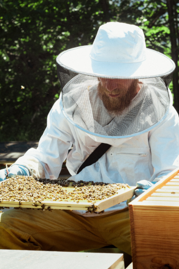 thomas de gaudemar apiculteur apiculture miel miellerie fleur chataigne chataigner chataigneraie ronce Ardèche abeille reine élevage ruche rucher cadre propolis gelée royale cire pollen